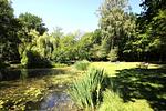 Landschaft - Haus: Terrasse, Garten, Sauna - Top-Hundeurlaub