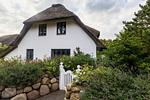 Hauptansicht - Ferienhaus SPO-Glück - Top-Hundeurlaub