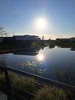 Chalet Land in Sicht mit Zaun Haus Nr. 81 - Top-Hundeurlaub