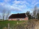 Garten - Ferienhaus Nele Emmelsbüll-Horsbüll - Top-Hundeurlaub