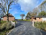 Empfang - Ferienhaus Nele Emmelsbüll-Horsbüll - Top-Hundeurlaub
