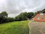 Garten - Ferienhaus Das Puppenhaus Emmelsbüll - Top-Hundeurlaub