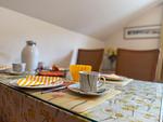 BELLEVUE - Top-Hundeurlaub