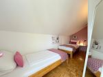 BELLEVUE - Top-Hundeurlaub
