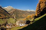 Mountainfarm Innertrein - Top-Hundeurlaub