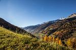 Mountainfarm Innertrein - Top-Hundeurlaub