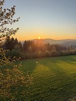 Berghotel Hoher Knochen - Top-Hundeurlaub