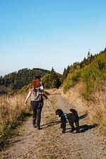 Berghotel Hoher Knochen - Top-Hundeurlaub