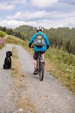 Berghotel Hoher Knochen - Top-Hundeurlaub