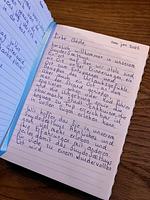 Chalet Suydersee Huys mit Zaun & AirCo Nr. 462 - Top-Hundeurlaub