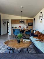 Chalet Suydersee Huys mit Zaun & AirCo Nr. 462 - Top-Hundeurlaub