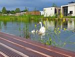 Chalet Wasserwelt mit Zaun Haus Nr. 32 - Top-Hundeurlaub