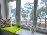 Dekoratives Detail - Ferienwohnung mit Meerblick und 1 Schlafzimmer (SV/710) - Top-Hundeurlaub