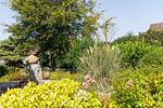 Ferienhaus Seehus21 Büsum - Ferienhaus Seehus21 Büsum - Top-Hundeurlaub