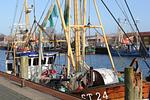 Appartementhaus Meeresbucht Whg. 4, Büsumer Hafen - Ferienwohnung Appartementhaus Meeresbucht Whg. 4 - Top-Hundeurlaub