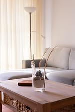 Dekoratives Detail - FIS/513 - Hanseaten Residenz - Top-Hundeurlaub