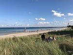 Strand - FIS/513 - Hanseaten Residenz - Top-Hundeurlaub