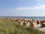 Strand - RES/401 - Residenz - Seeblick - Top-Hundeurlaub