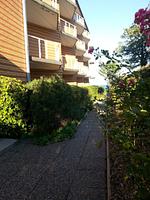 Fassade / Eingang - MON/27 - Montemare - Teilmeerblick - Top-Hundeurlaub