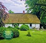 Hollerbusch - Top-Hundeurlaub
