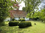 Hollerbusch - Top-Hundeurlaub