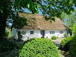 Hollerbusch - Top-Hundeurlaub