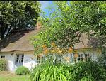 Hollerbusch - Top-Hundeurlaub