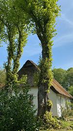 Hollerbusch - Top-Hundeurlaub