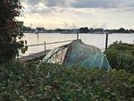 Hollerbusch - Top-Hundeurlaub