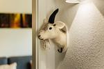 Dekoratives Detail - Harzbock - Top-Hundeurlaub