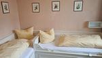 Haus Undine   Appartement  8 - Top-Hundeurlaub