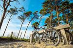 Ferienwohnung Deichperle Aparthotel Zingst - der Darß läd zum radeln ein - Deichperle - Top-Hundeurlaub
