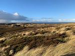 Strand - Ferienwohnung Dünennest Rantum auf Sylt - Top-Hundeurlaub