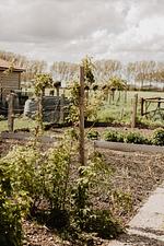 Huisje Nummer Tien - Top-Hundeurlaub