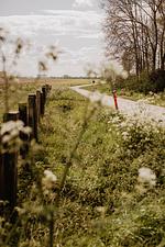 Huisje Nummer Tien - Top-Hundeurlaub