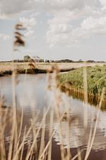 Huisje Nummer Tien - Top-Hundeurlaub