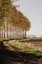 Huisje Nummer Tien - Top-Hundeurlaub