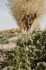 Huisje Nummer Tien - Top-Hundeurlaub