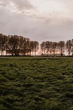 Huisje Nummer Tien - Top-Hundeurlaub