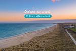 Strand - Natea - Top-Hundeurlaub