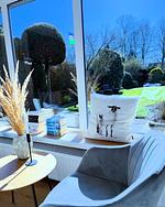 Friesische Brise - Top-Hundeurlaub