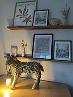 Friesische Brise - Top-Hundeurlaub