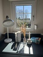 Friesische Brise - Top-Hundeurlaub