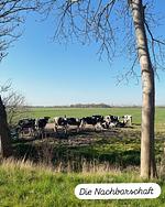 Friesische Brise - Top-Hundeurlaub