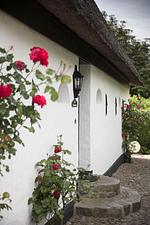 Haus Strandläufer***** - Top-Hundeurlaub