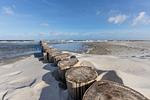 Strand - Haus: Terrasse, Garten - Top-Hundeurlaub