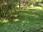 AllgäuVilla *****  Scheidegg 
☀️Die Sonnenterrasse über dem Bodensee☀️ - Top-Hundeurlaub