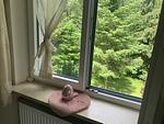 AllgäuVilla *****  Scheidegg 
☀️Die Sonnenterrasse über dem Bodensee☀️ - Top-Hundeurlaub