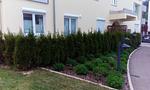 4* Ferienwohnung Franziska - Top-Hundeurlaub