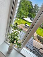 Haus Hygge am Park - 1701 - Top-Hundeurlaub
